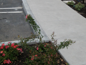 Concrete Curbing & Sidewalks